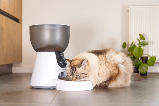 Beeztees Cam – Smart Voerbak Kat met camera – Plastic – Wit – 22x36x32 cm – 4 liter